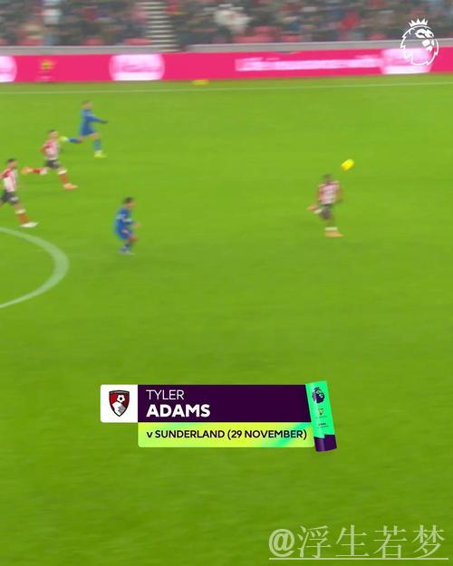 泰勒-亚当斯中场远射破门当选英超11月最佳进球